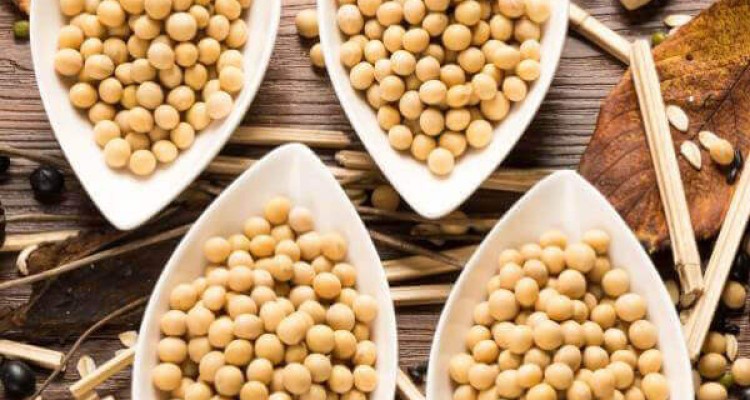 مصرف محصولات سویا موجب افزایش طول عمر می شود