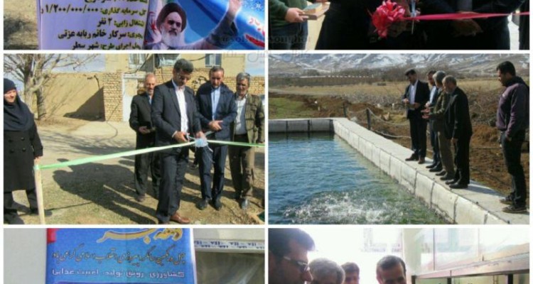 ۲۸طرح مخابراتی و 2 طرح شیلاتی در شهرستان سنقروکلیایی افتتاح شد