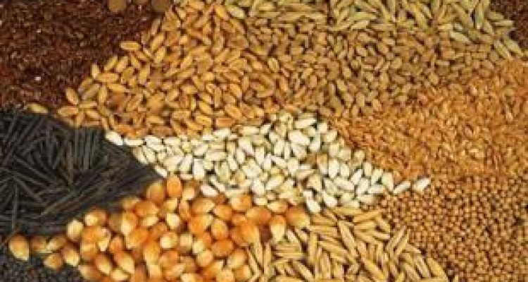 صادرات ۲۱۰ هزار تن نهاده دامی از کرمانشاه 