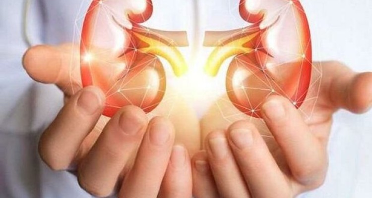 بیماری مزمن کلیوی عامل مرگ بیش از یک میلیون نفر در جهان