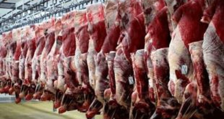 مردم گوشت و جگر را از مراکز معتبر تهیه کنند 