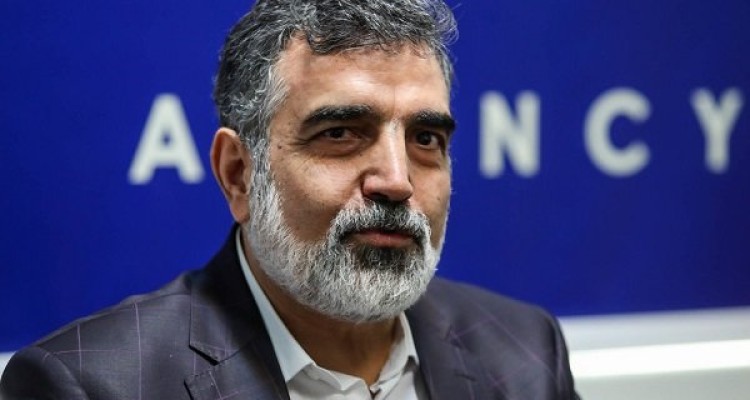 سفر مدیرکل آژانس ارتباطی به «مکانیسم ماشه» و مسائل سیاسی ندارد