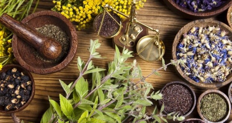 خوراکی های مؤثر در گرم و تر شدن مزاج در فصل پاییز