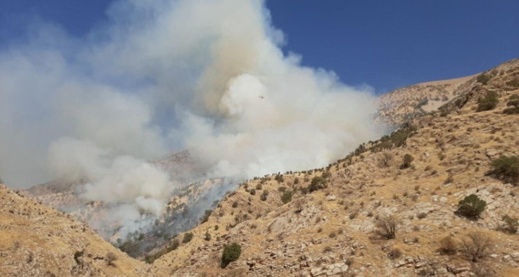  حدود ۱۰ هکتار از مراتع ارتفاعات شهرستان ثلاث باباجانی در آتش سوخت / حضور نیروهای مردمی بسیج و سپاه در مهار آتش