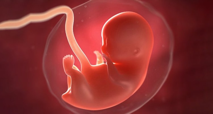 کرونا از مادر به جنین منتقل می شود