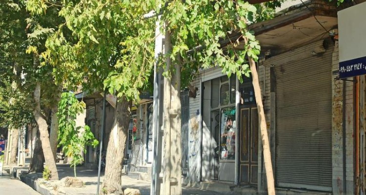 رعایت پروتکل های بهداشتی به خوبی در شهر صحنه در حال انجام است