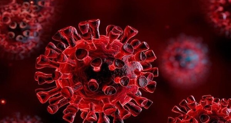 هورمون «اُکسی توسین» در بهبود کووید ۱۹ موثر است