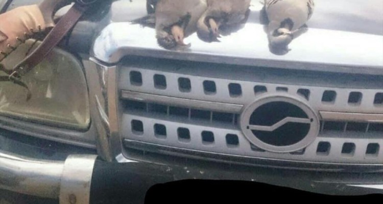 شکارچی غیر مجاز کبک در صحنه دستگر شد