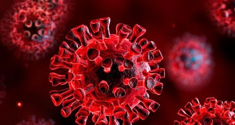 بستری 30 بیمار مبتلا به کرونا در بیمارستان دکتر معاون صحنه