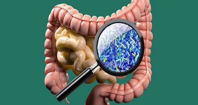 نقش میکروب های روده در بروز بیماری اوتیسم
