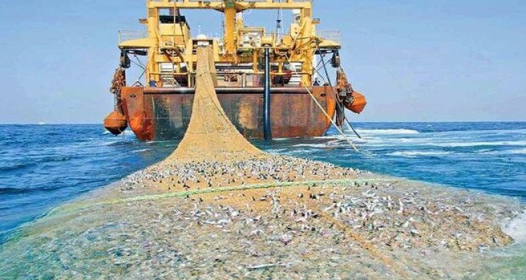 زخمی که «ترال» بر پیکر دریا زد/ دستان صیادان محلی خالی است