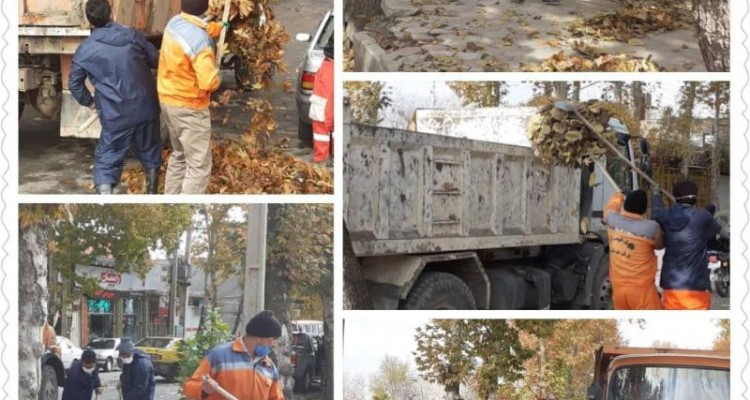 جمع‌آوری برگ‌های پاییزی از سطح شهر صحنه + عکس