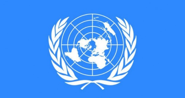 حقوق بشر یعنی کشک