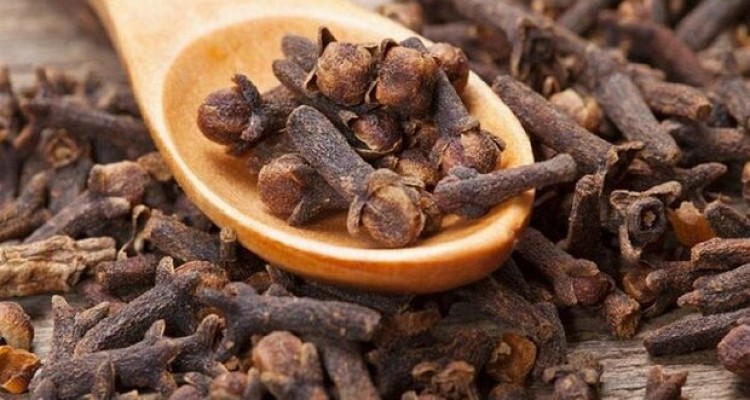 تاثیر عصاره میخک در بهبود کووید ۱۹