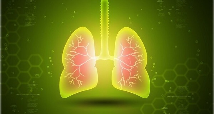 ارتباط عنصر کادمیوم با بروز عفونت شدید آنفلوانزا و ذات الریه