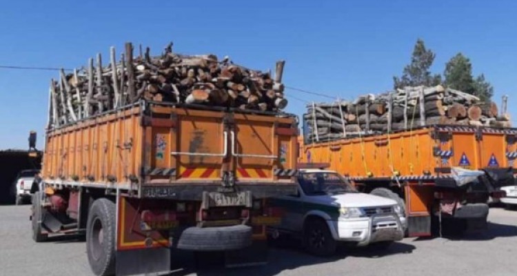 کشف 20 تن چوب قاچاق در شهرستان سنقر/ دو دستگاه کامیون توقیف شد