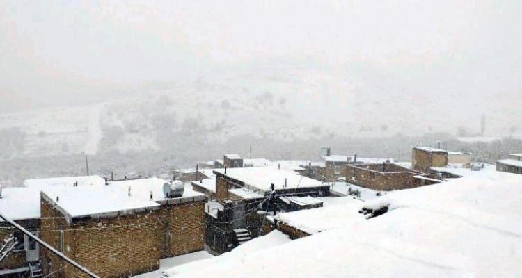 بارش برف مناطق سرد سیر بخش دینور را سفید پوش کرد