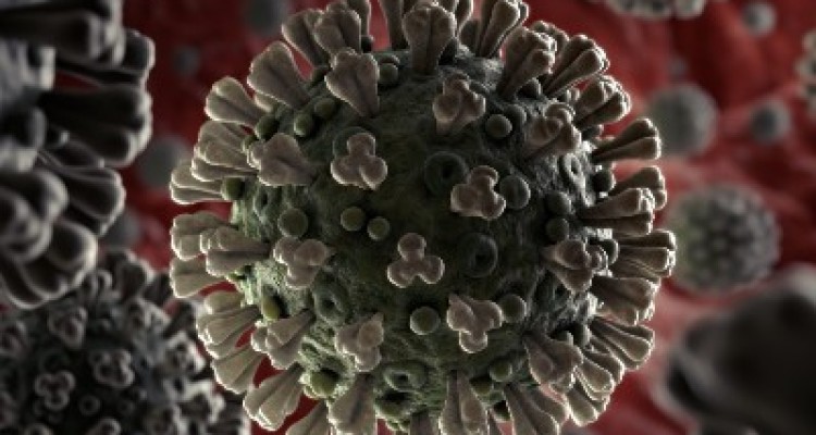 16 بیمار کرونایی در بیمارستان معاون صحنه بستری هستند / آمار بستری ها در صحنه 2 برابر شد