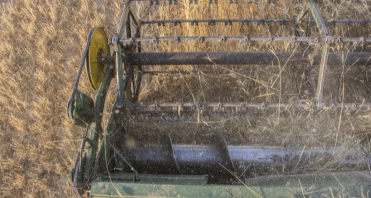 جهادباتشکل‌ها درباره نرخ گندم توافق کرد/خاوازی بدنبال تائیدروحانی