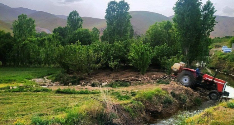 گزارش تصویری از طبیعت بهاری کنگاور