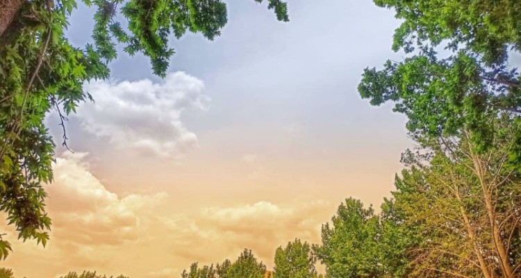 غروب زیبای صحنه