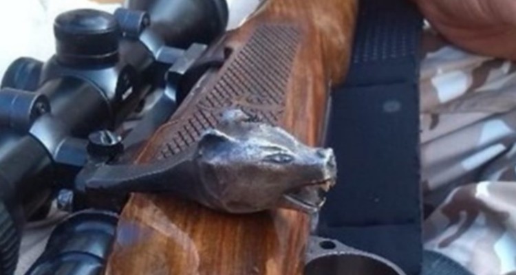 پرونده متخلفان محیط زیست در شعب دادسرای صحنه به صورت ویژه پیگیری خواهد شد