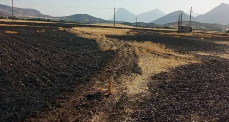 آتش سوزی مزارع کشاورزی کمیته امداد صحنه مهار شد