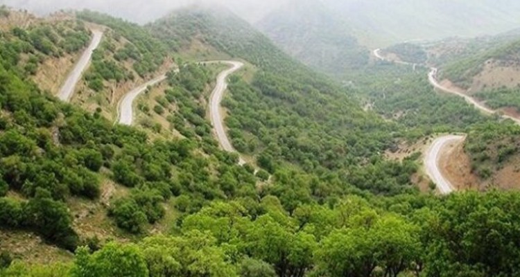 خسارت ۴۰ درصدی خشکسالی به طرح‌های احیا جنگل‌های کرمانشاه در سال۹۹