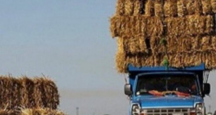 ۱۱۰ تن کاه و کلش قاچاق در کرمانشاه توقیف شد / مبادی ورودی و خروجی استان تحت کنترل است