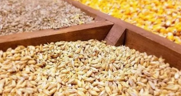 ۴ راهکار بخش خصوصی برای حل چالش بازار نهاده های دامی