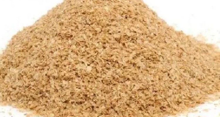 افزایش قیمت سبوس منتفی شد