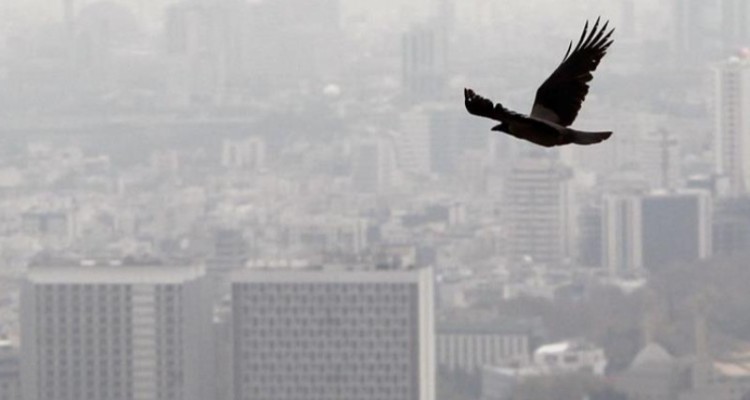 هواشناسی ایران ۱۴۰۰/۰۹/۰۴؛ هشدار آلودگی ۵ روزه هوا در ۷ شهر کشور/ بارش باران و برف در ۱۷ استان