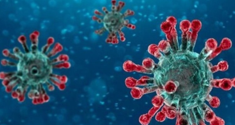 ۳ فرضیه درباره منشأ پیدایش "اومیکرون"/ گسترش "مرموز" در مکانی نامعلوم!