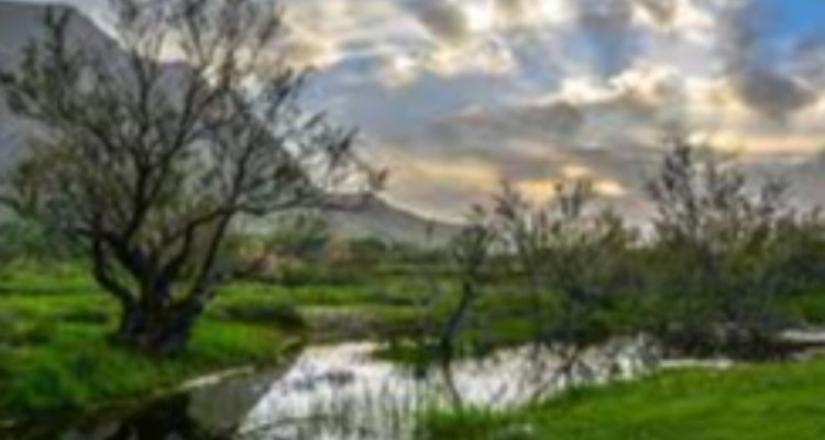 شهرستان صحنه