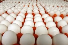 ارز ۴۲۰۰ تومانی در دی ماه هم اختصاص می یابد