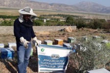 بازگشت ۶۲۵۰ خانواده به روستا با کمک بنیاد«برکت»