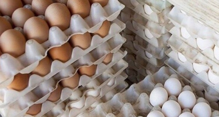 چرا تخم مرغ‌ها کوچک شده‌اند؟