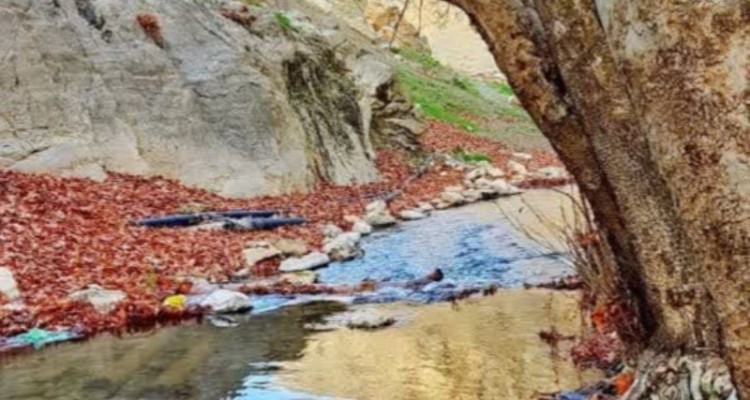 چهارچشمه در سراب دربند صحنه