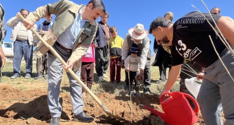 کاشت نهال در شهرستان صحنه در روز طبیعت
