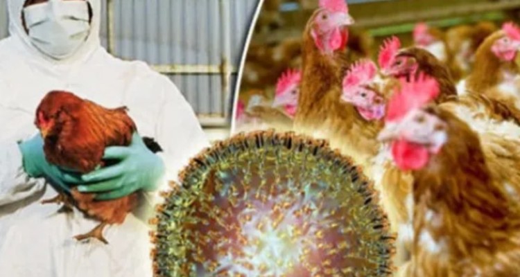 اقدامات پیشگیری از آنفولانزا را جدی بگیرید