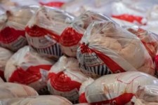 روزانه ۱۲۰ تن مرغ در کرمانشاه توزیع می‌شود