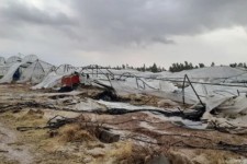 خسارت ۱۷ میلیارد ریالی تگرگ به قصرشیرین