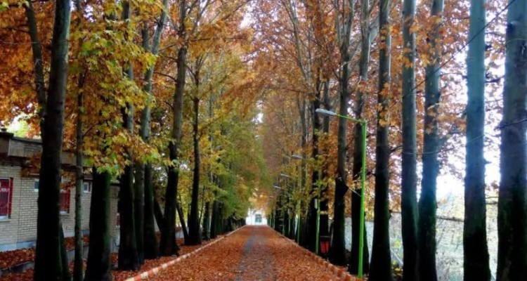 رویداد عکاسی پاییز هزار رنگ در صحنه