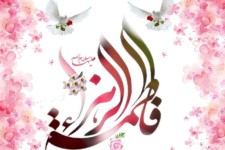 کوثر شد تا نسل پاکان ادامه پیدا کند