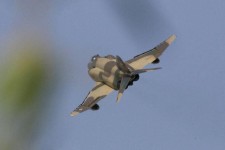 غرش جنگنده بر فراز صحنه در جریان رزمایش