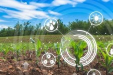 سند جدید کشاورزی کرمانشاه بهره‌وری را افزایش می‌دهد