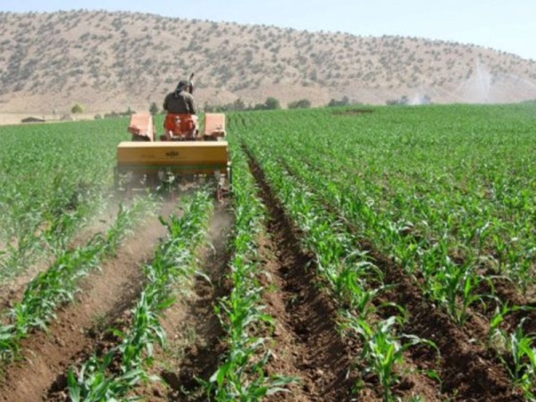تداوم تولیدات کشاورزی اولویت شرایط جنگی در کرمانشاه