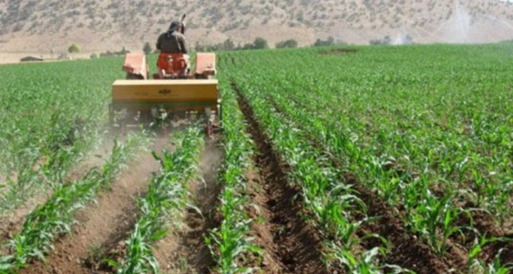 تداوم تولیدات کشاورزی اولویت شرایط جنگی در کرمانشاه