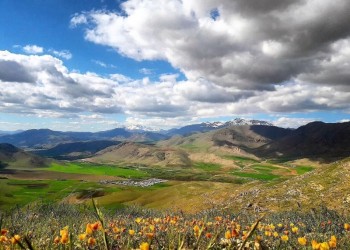 زیبای‌های طبیعت بهاری روستای بید سرخ شهرستان صحنه