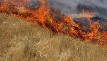 جارسوزی؛تهدیدی خاموش برایدخاک،منابع طبیعی و سلامت مردم